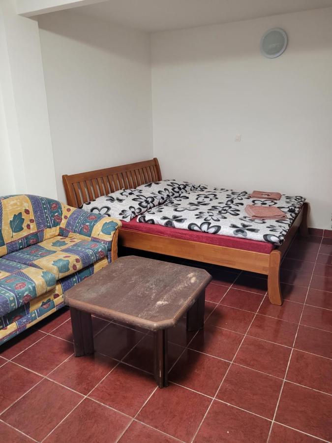 Penzion Duong Apartments 卡罗维发利 外观 照片