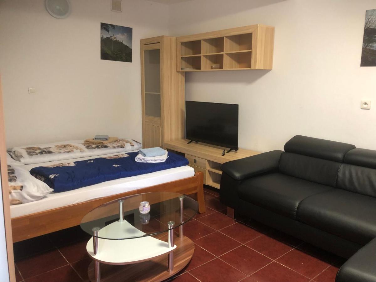 Penzion Duong Apartments 卡罗维发利 外观 照片