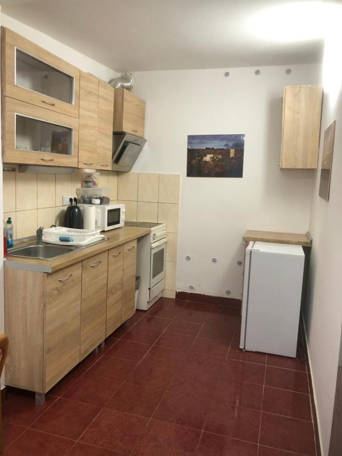 Penzion Duong Apartments 卡罗维发利 外观 照片