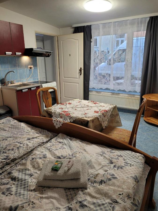 Penzion Duong Apartments 卡罗维发利 外观 照片